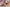 Testing Alt