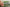 Testing Alt