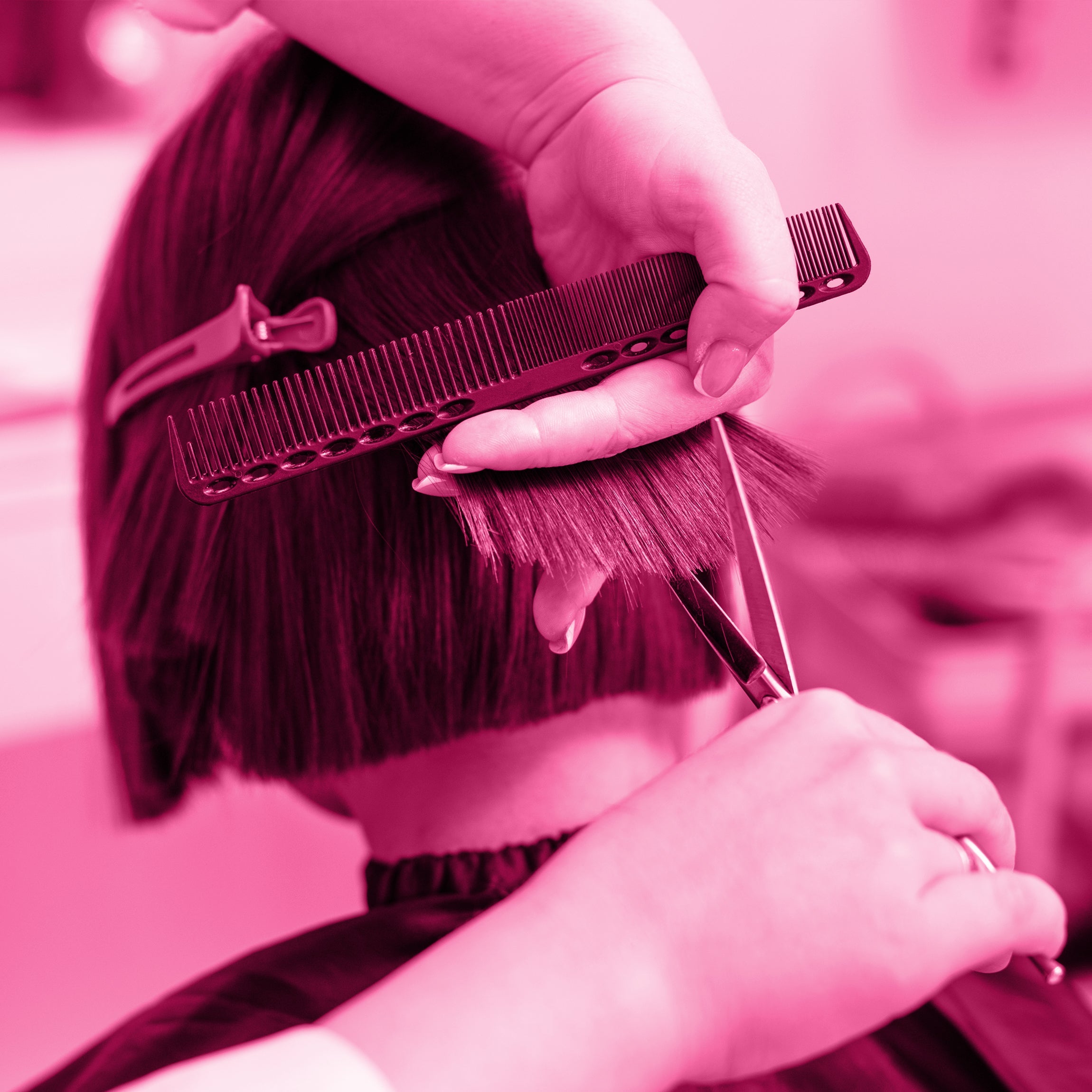 Foarfeci si Briciuri