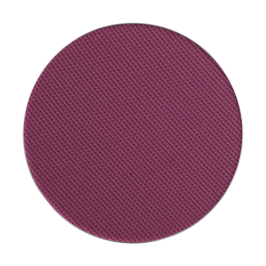 PMS Pastila Rezerva Paleta Fard de Pleoape – Palette Match System Art Nr. 105 – Pierre Rene - HNIcosmetice.ro