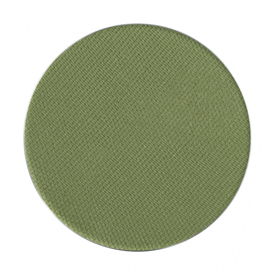 PMS Pastila Rezerva Paleta Fard de Pleoape – Palette Match System Art Nr. 16 – Pierre Rene - HNIcosmetice.ro