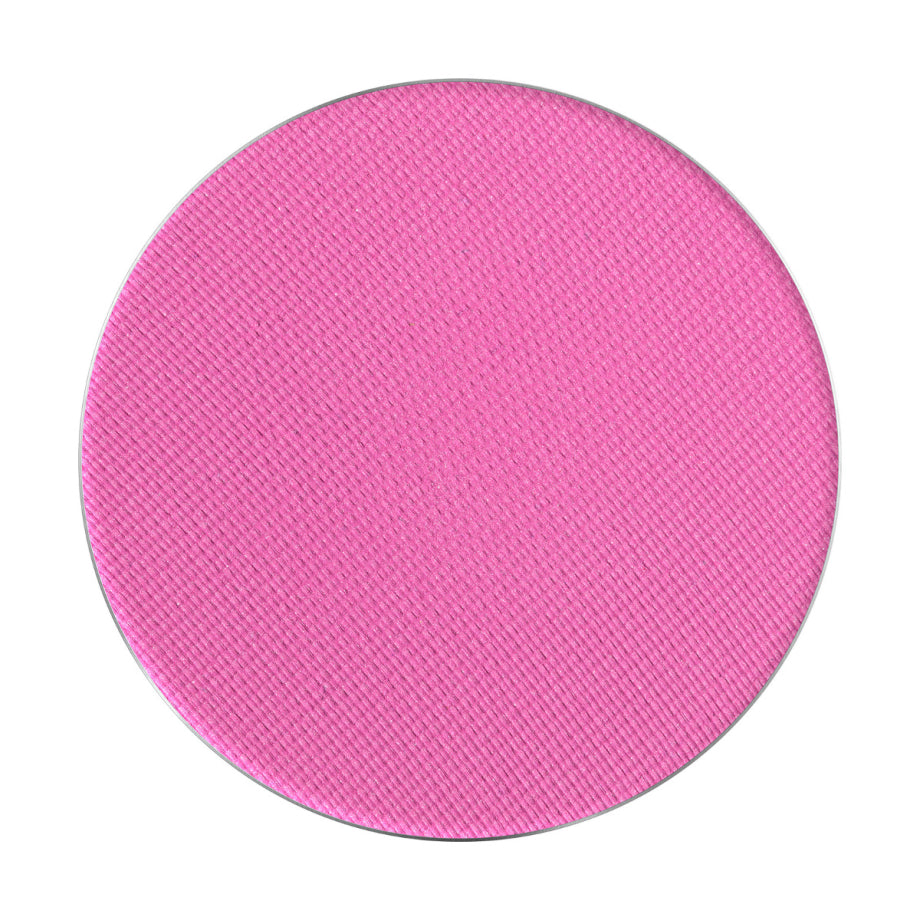 PMS Pastila Rezerva Paleta Fard de Pleoape – Palette Match System Art Nr. 44 – Pierre Rene - HNIcosmetice.ro