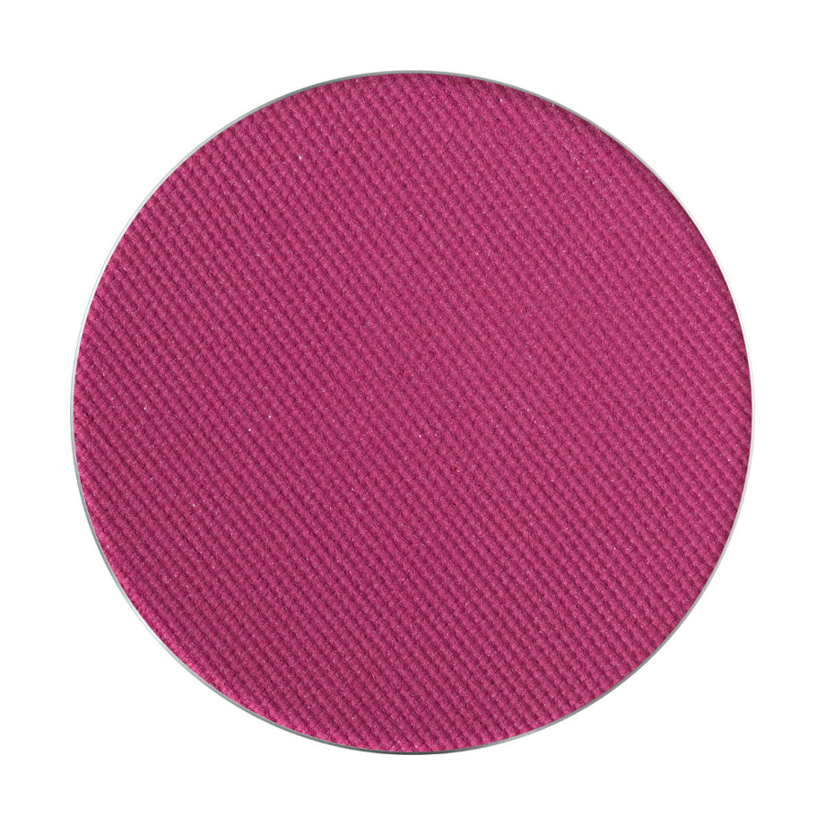 PMS Pastila Rezerva Paleta Fard de Pleoape – Palette Match System Art Nr. 74 – Pierre Rene - HNIcosmetice.ro