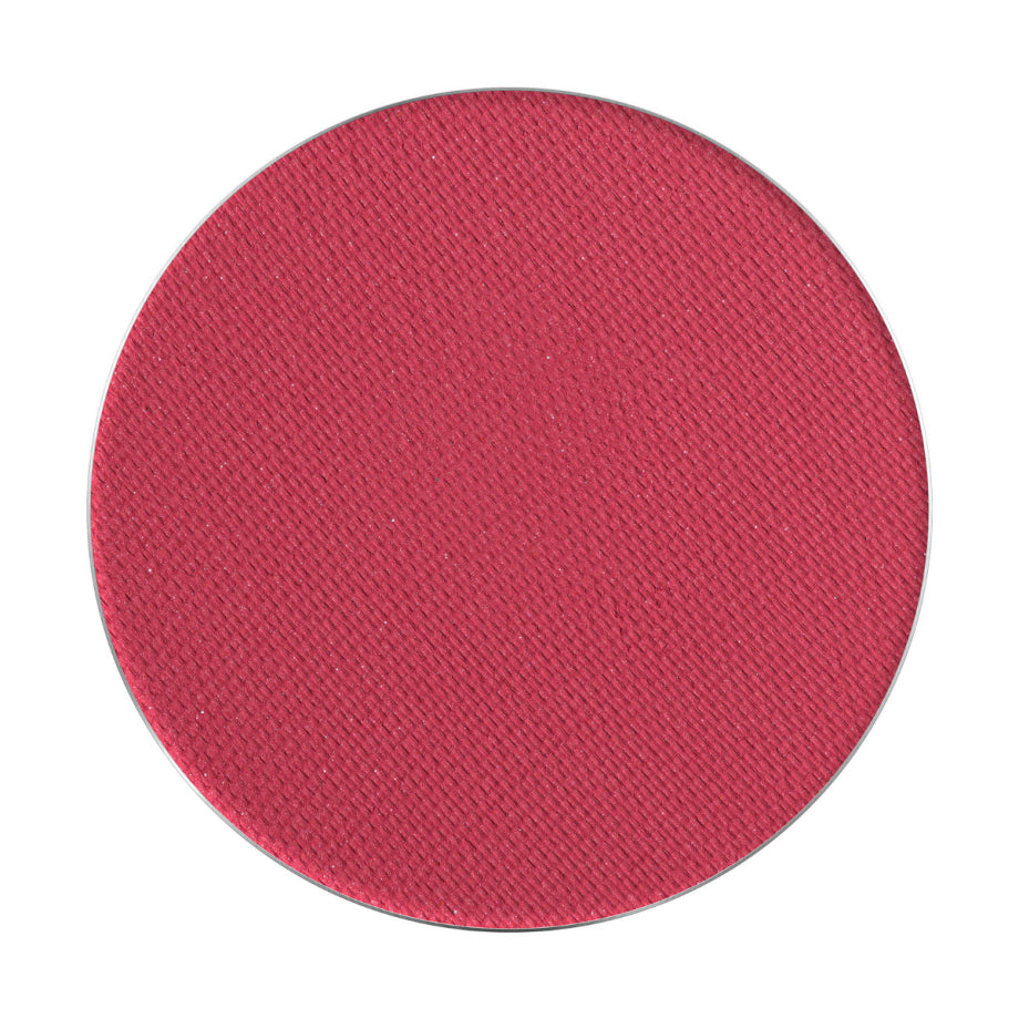 PMS Pastila Rezerva Paleta Fard de Pleoape – Palette Match System Art Nr. 92 – Pierre Rene - HNIcosmetice.ro