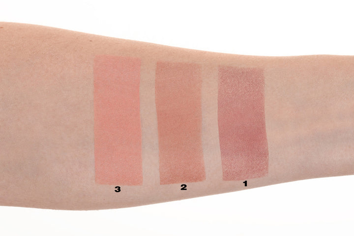 PMS Pastila Rezerva Fard de Obraz - Palette Match System Blush Art  Nr. 02 - Pierre Rene