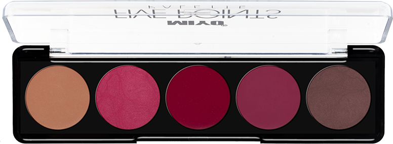 It Girls Paleta Ruj - Five Points Contour Lip Palette Nr.01 - MIYO