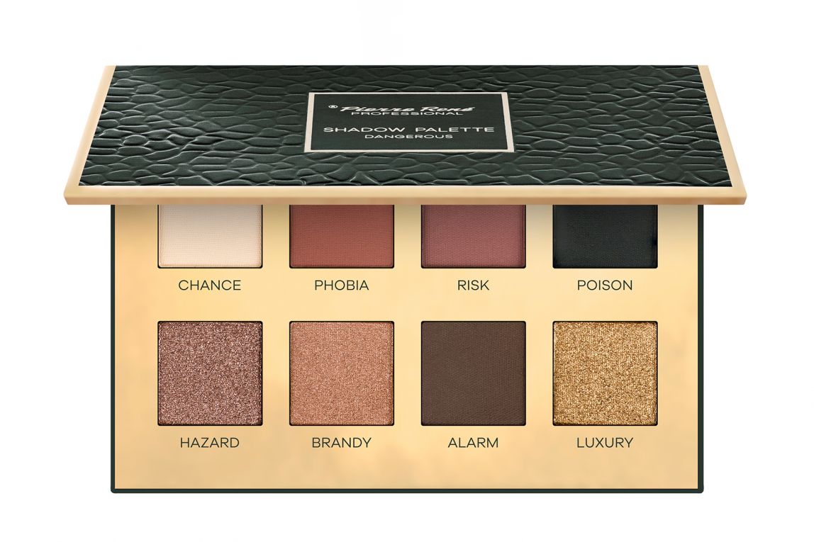 Paleta Fard Ochi - Dangerous Eyeshadow - Pierre Rene - HNIcosmetice.ro
