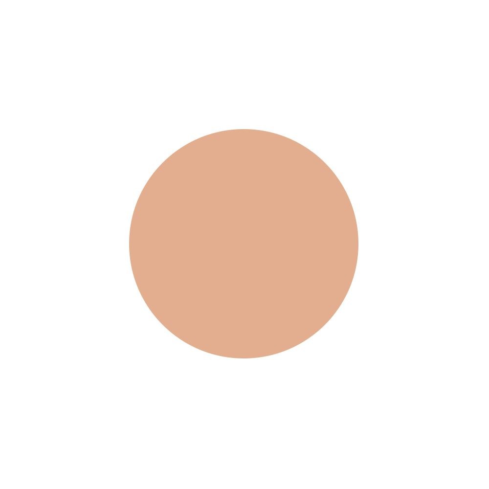 PMS Pastila Rezerva Paleta - Camouflage Nr.02 - PIERRE RENE - HNIcosmetice.ro