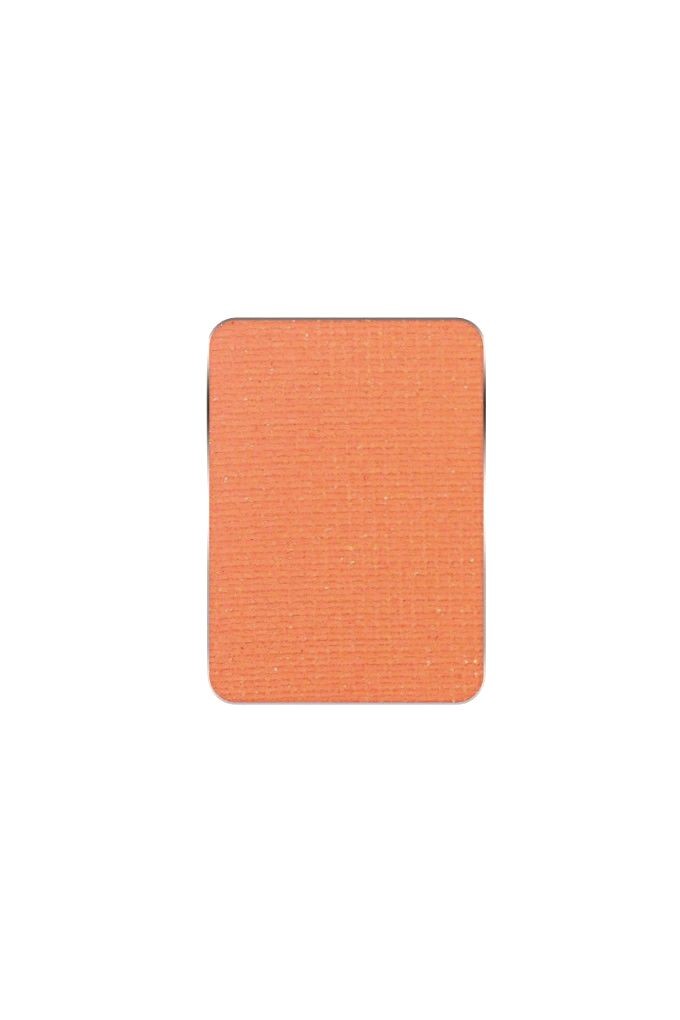 PMS Pastila Rezerva Paleta Fard De Pleoape Nr.120 - PIERRE RENE - HNIcosmetice.ro