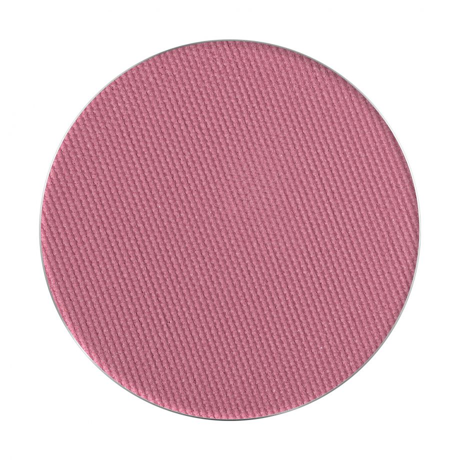 PMS Pastila Rezerva Paleta Fard de Pleoape - Palette Match System Nr. 009  1.3gr - Pierre Rene - HNIcosmetice.ro