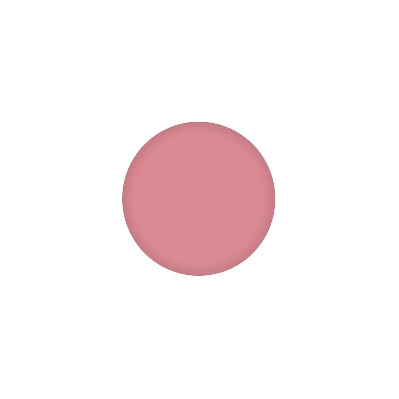 PMS Pastile Rezerve Paleta Ruj - Blush Silk Nr.01 - PIERRE RENE - HNIcosmetice.ro