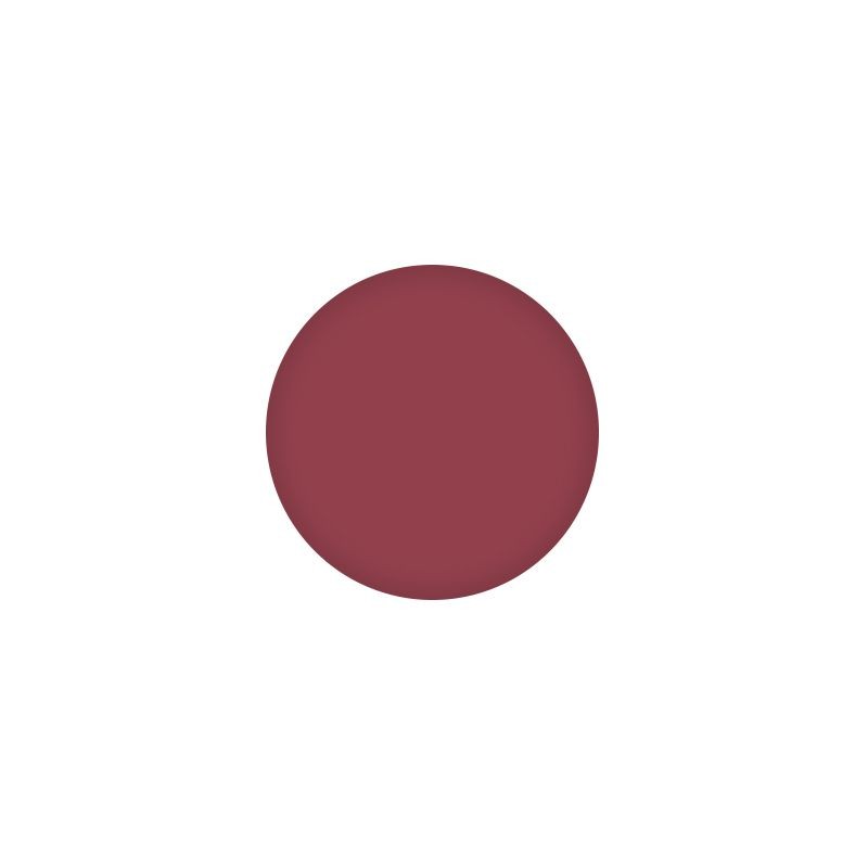 PMS Pastile Rezerve Paleta Ruj - Toffee Cream Nr.04 - PIERRE RENE - HNIcosmetice.ro