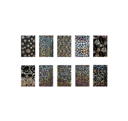 Set Folii Unghii pentru Transfer - Nail Art Abracadabra Foil Tip 10 Silver Widow  - Ami Gel - HNIcosmetice.ro