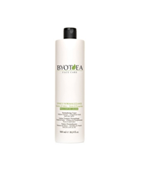 Tonic Normalizant Cu Extract De Salcie Si Sambure De Grapefruit - Impure Oily Skin - Normalizing Toner 500ml - BYOTEA